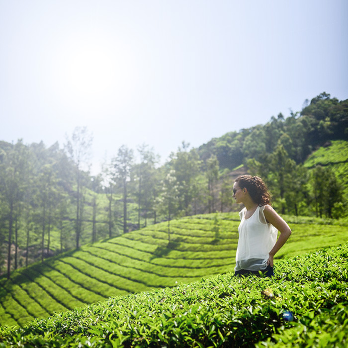 Munnar